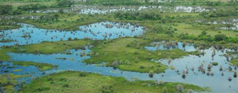 婆羅洲爲何多溼地：地形、氣候與生態的共振